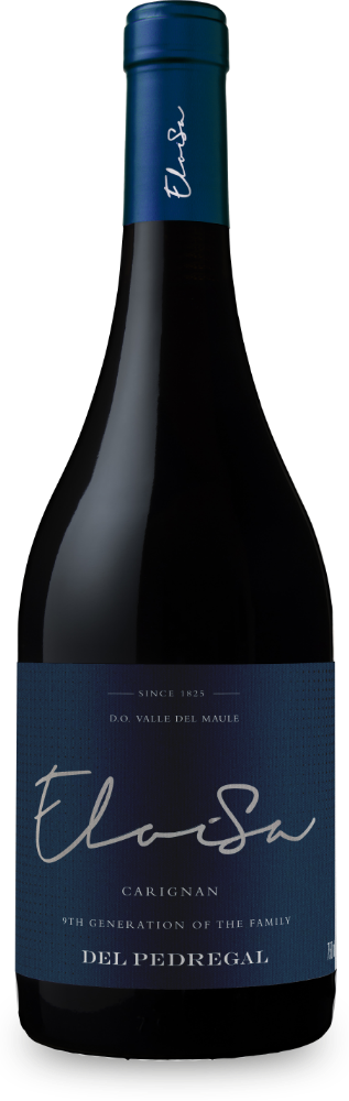 botella